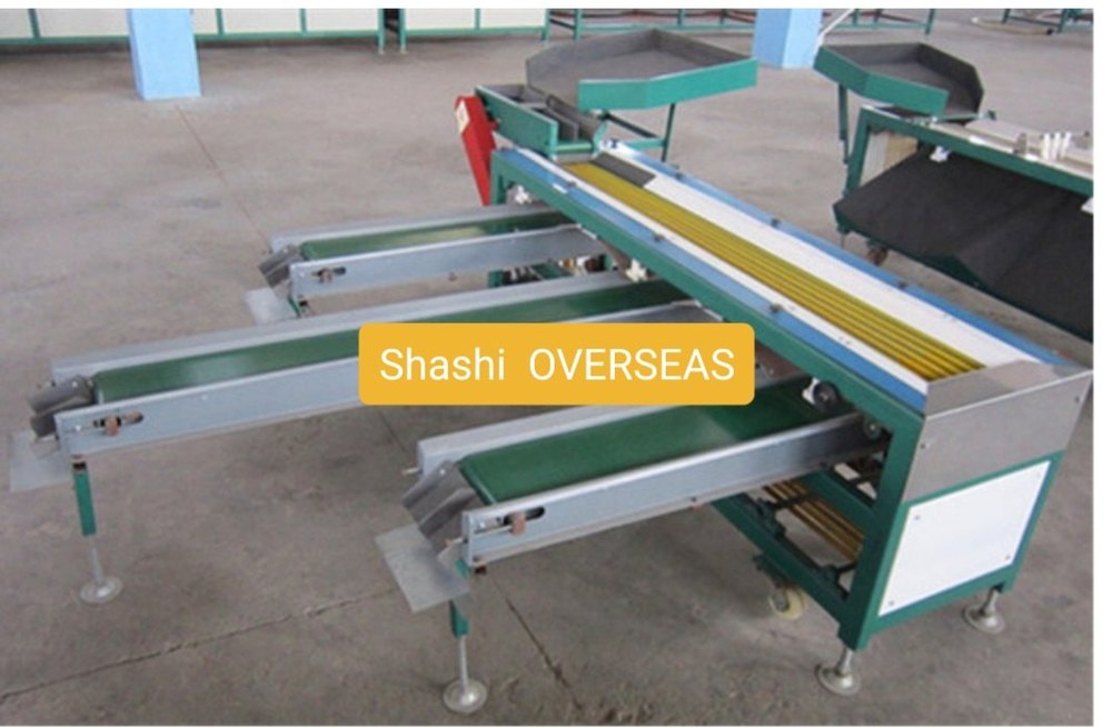 Automatic Chiku Grading Machine