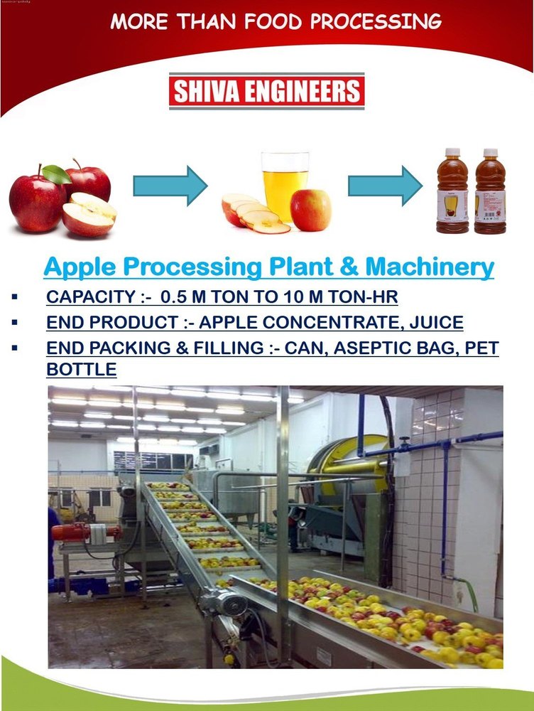 ProceSSing Machine Automatic SS 304 Apple Washing, Sorting & Grading Machinery, Capacity: 500 Kg/Hour To 10000 Kg/Hour