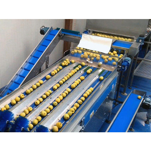 Semi-Automatic Mango Grading Machine