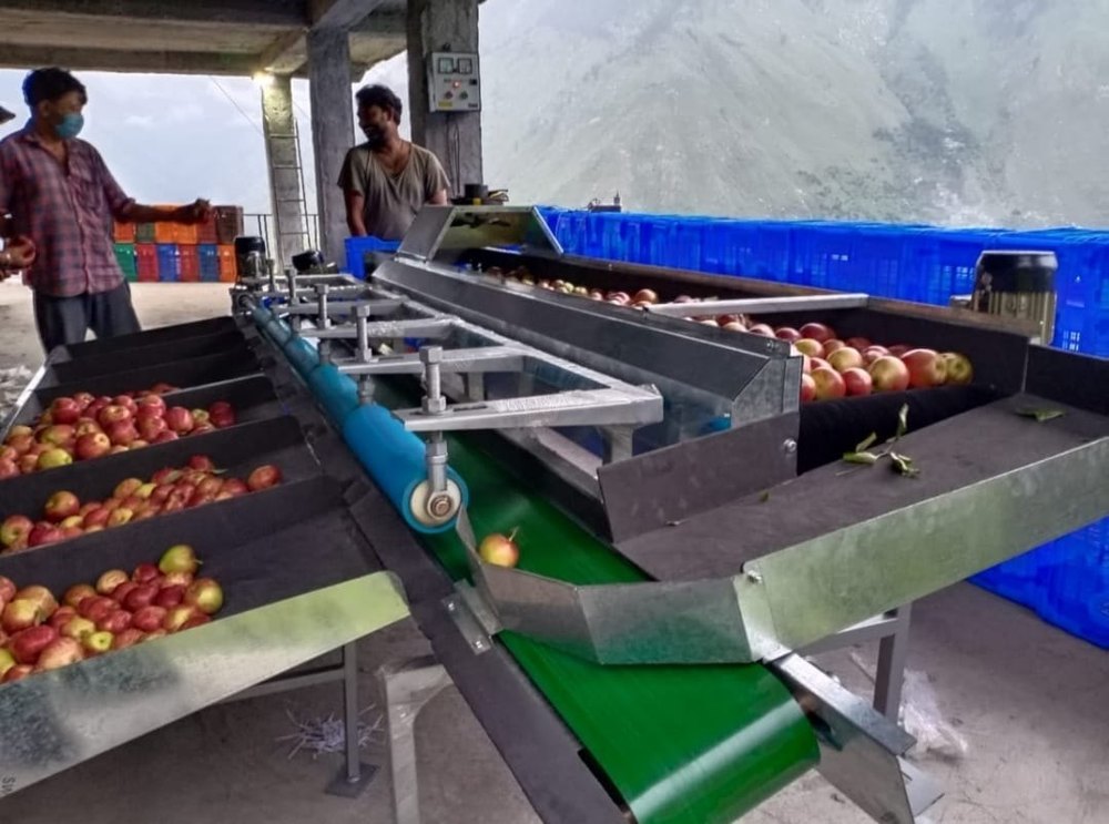 Semi-Automatic Food Grade Apple Grading, 150 T0 200 Box Per Day