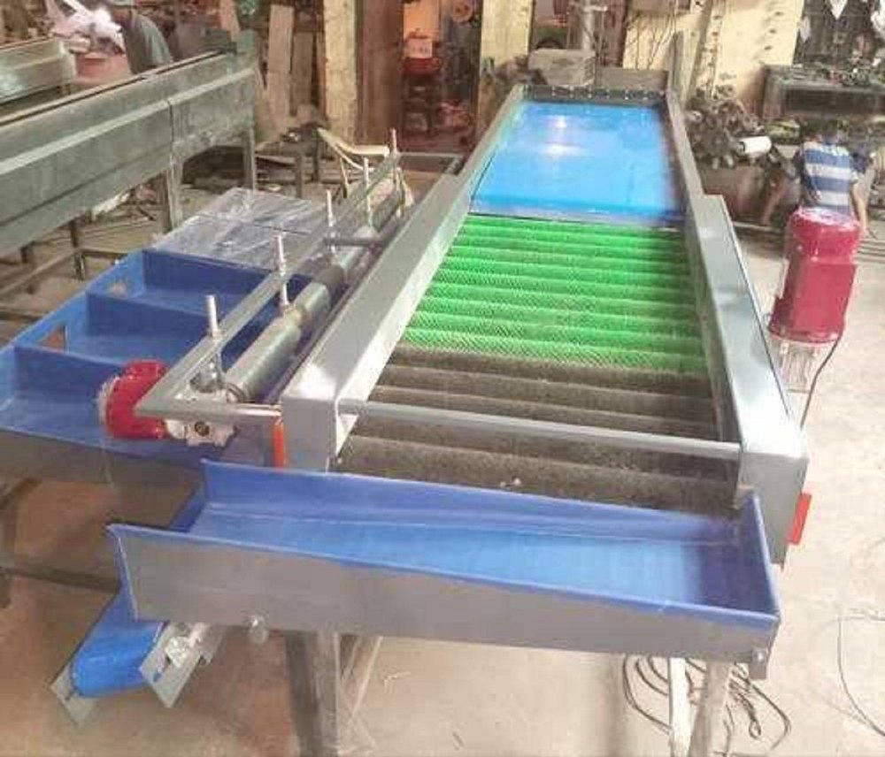 Semi-Automatic Fruit And Vegetable Grading Machine, 40 Box/Hr