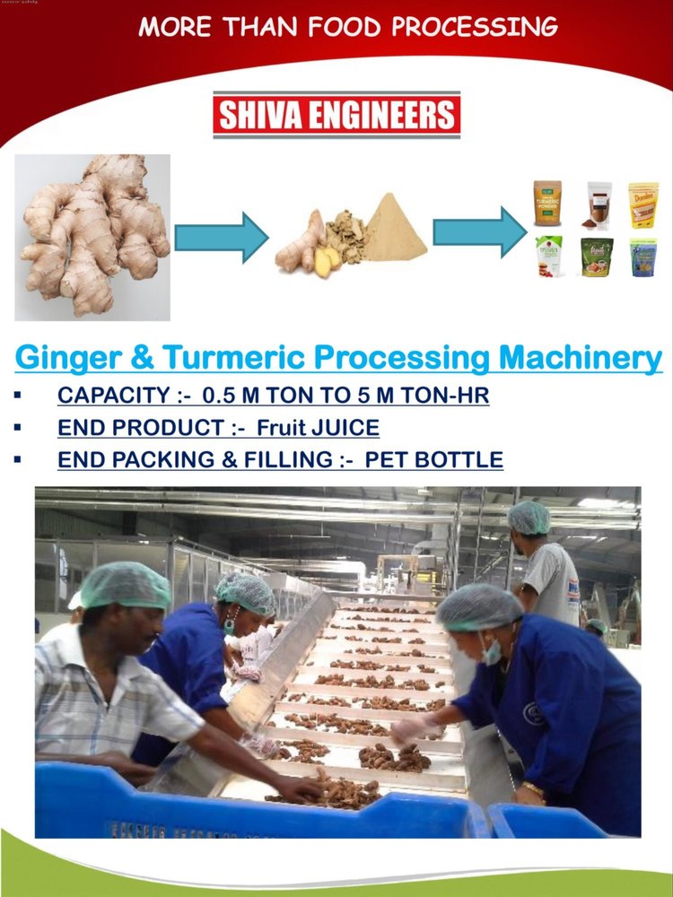 Ginger Processing Machinery