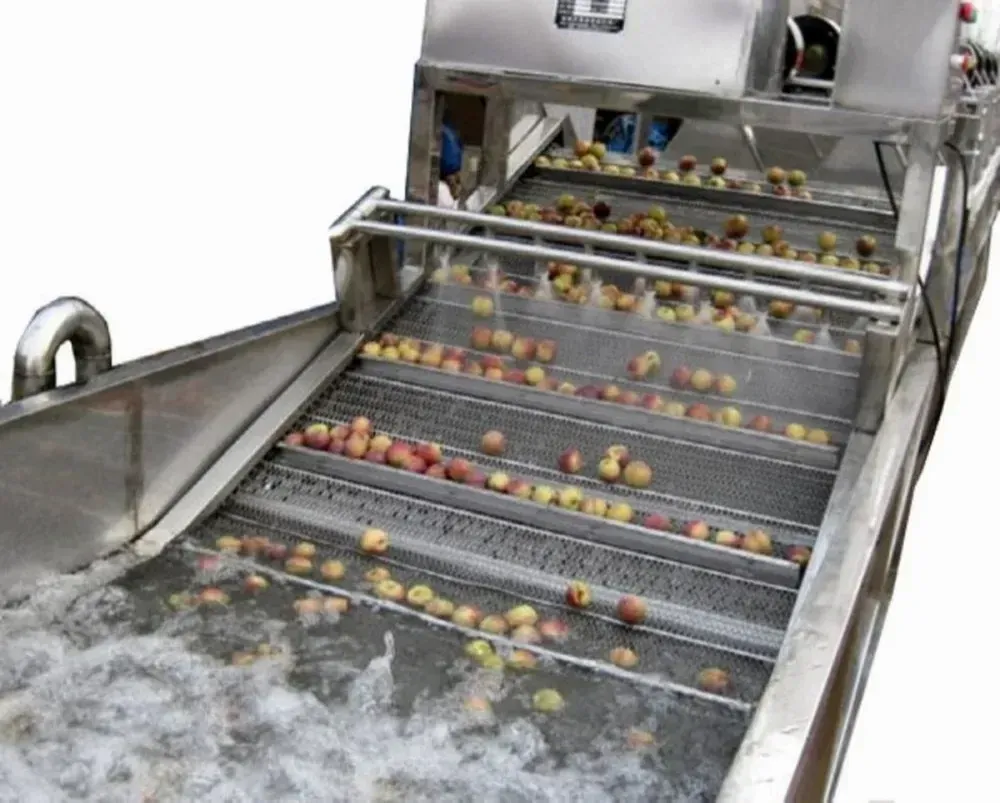 For Commercial Mild Steel Semi Automatic Fruit Washing Plant, 400 Kg Per Hr