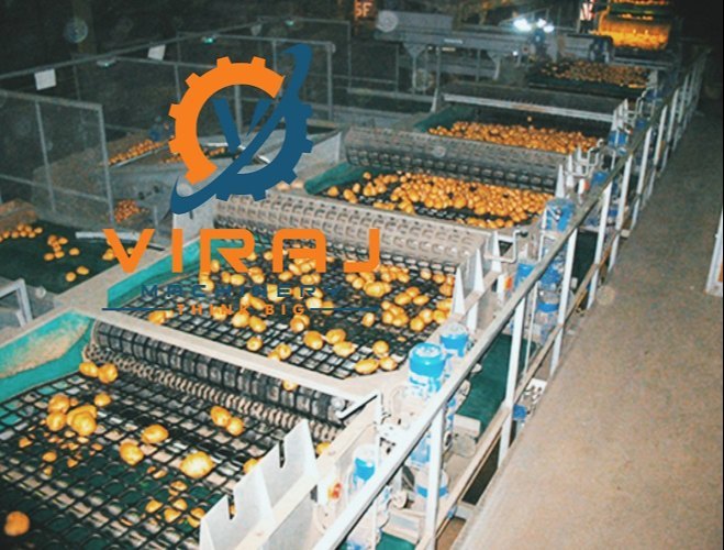 Automatic Mild Steel Potato Sorting Machine, 1.5 Ton Per Hour