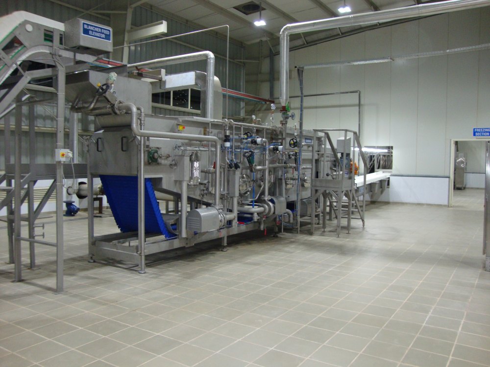 Processing Section Or Belt Blancher