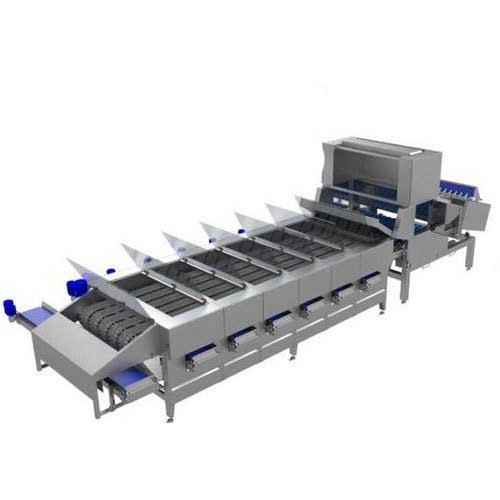 Onion Grading Machine
