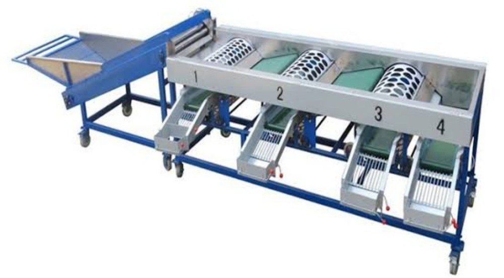 Onion grading machine drum type