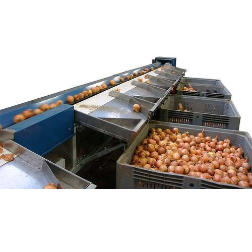Semi-Automatic Onion Grading Machine