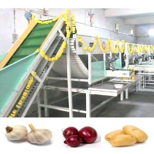 Onion Grading Machine