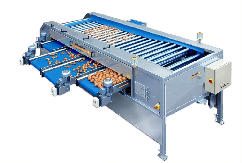 Semi-Automatic Onion Grading Machine