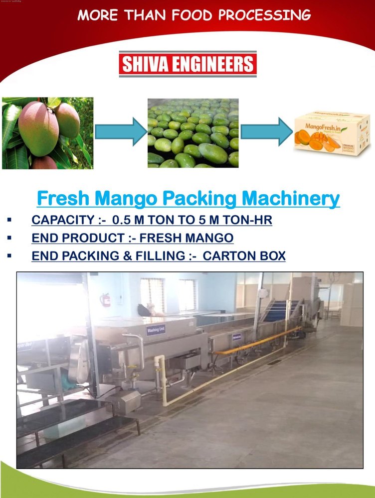 Fresh Fruit & Vegetable Processing, Sorting & Packing System