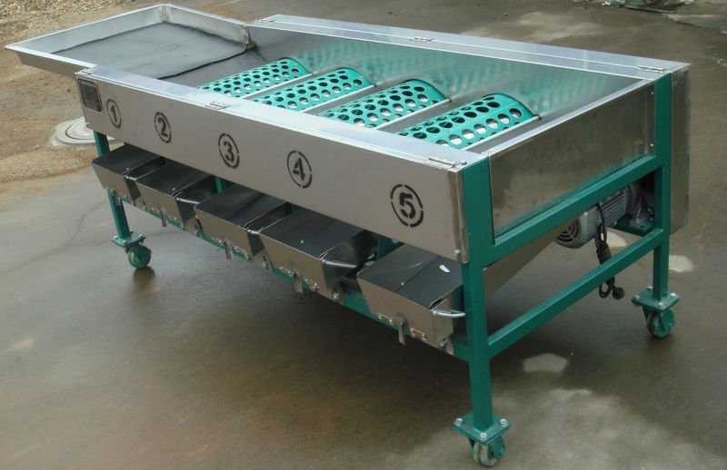 Semi-Automatic Fruit Sorting Machine, 1 Ton / Hour