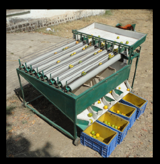 Fruit Grader Machine, Capacity: 1000 Kg. Per Hr