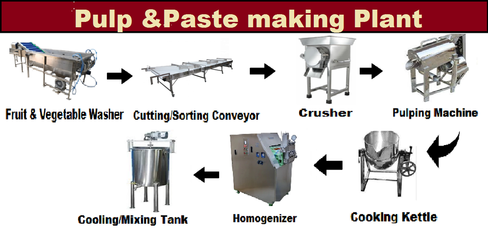 Automation Grade: Semi-Automatic Carrot Pulp Making Plant, For Industrial, Capacity: 50-500 kg/batch