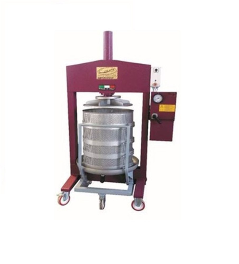 Automatic Fruit & Vegetable Hydraulic Press, 250-2500 Kg/ Hr
