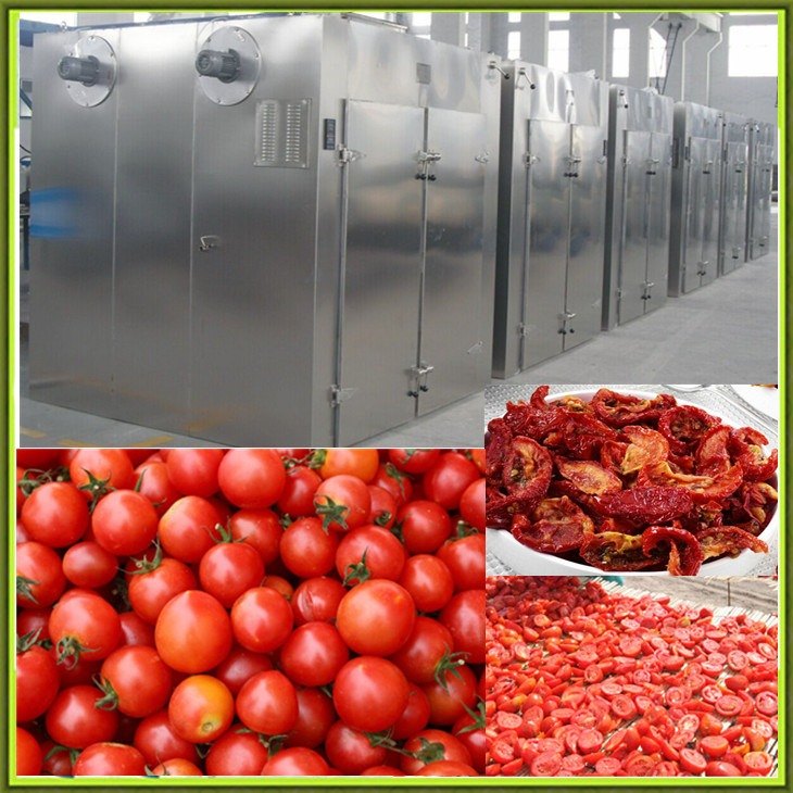 Automatic Stainless Steel Vegetable Processing Plant