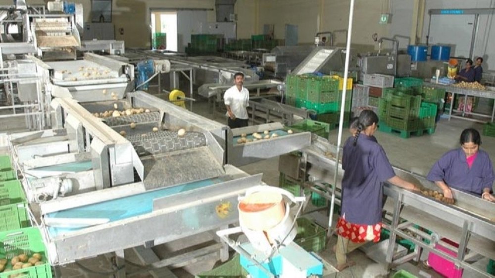 Electric Stainless Steel Vegetable Processing Plant, For Used To Process The Food, Automation Grade: Automatic