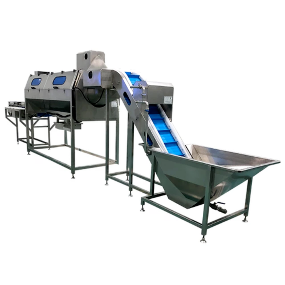 Stainless Steel Frozen Vegetable Processing Plant, 500kg, 5HP