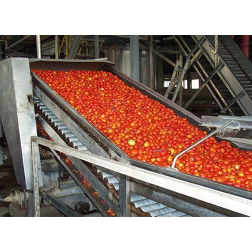 Automatic Tomato Processing Plants