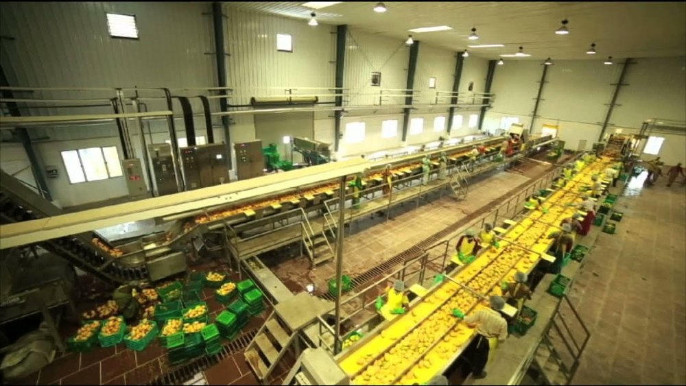 Automatic Mango Pulp Processing Plant, 500 Kg/Hr