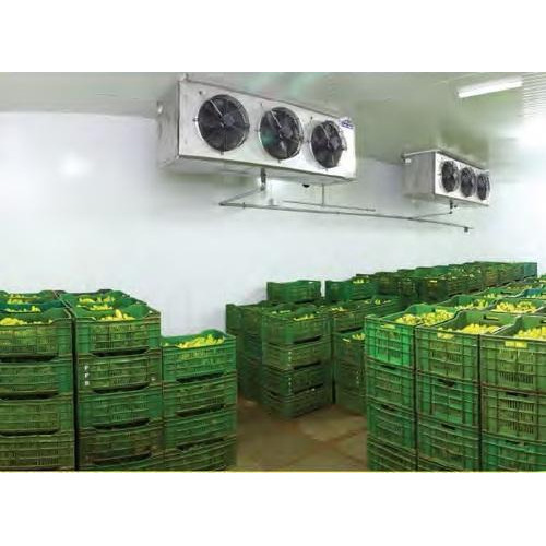 Automatic Banana Ripening Cold Room, -100 To 100, Good