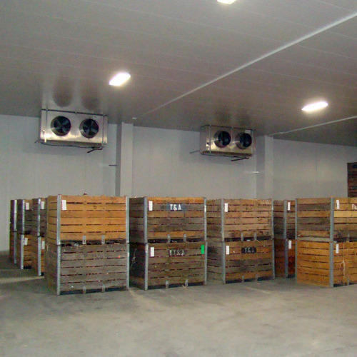 Greentech Fruit Ripening Chambers, Capacity: In Tonnes