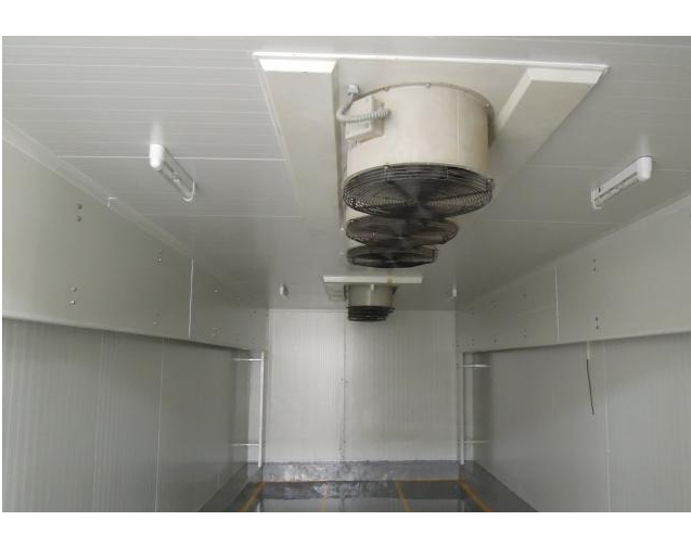 Semi-Automatic Ripening Chamber, +2 Degree To +8 Degree