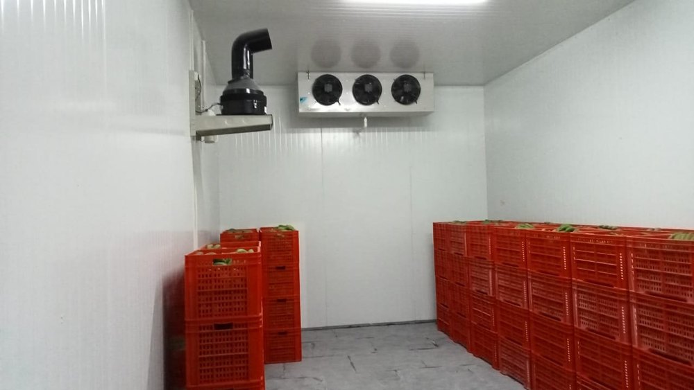Ripening Chambers, +18 To +22, 5 Mt