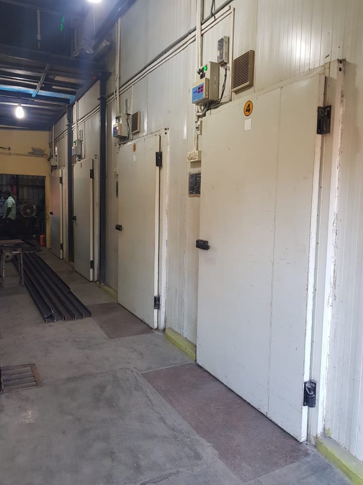 Automatic Banana Ripening Chamber, Model Name/Number: Comfort