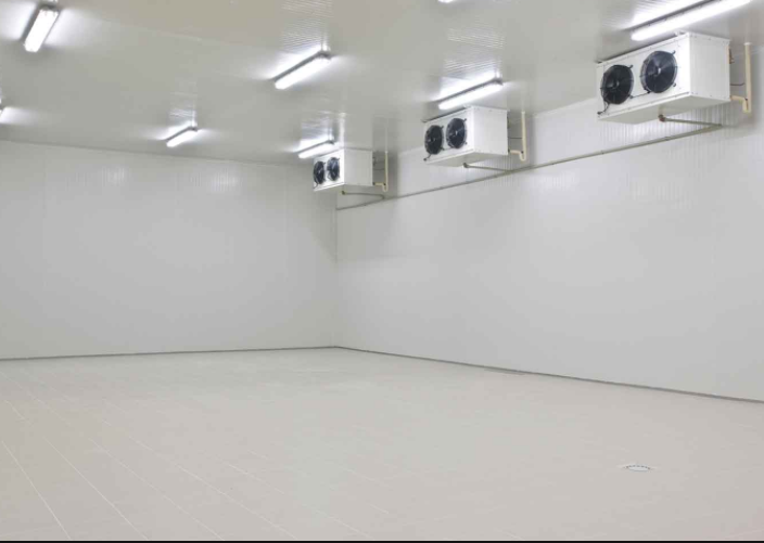 Automatic Ripening Chambers, Standard