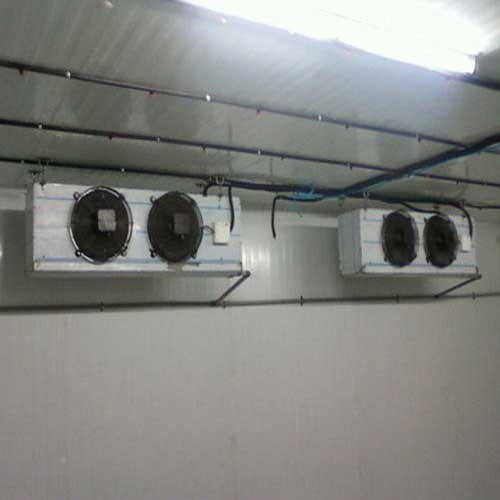 GS Air Ethylene Ripening Chamber