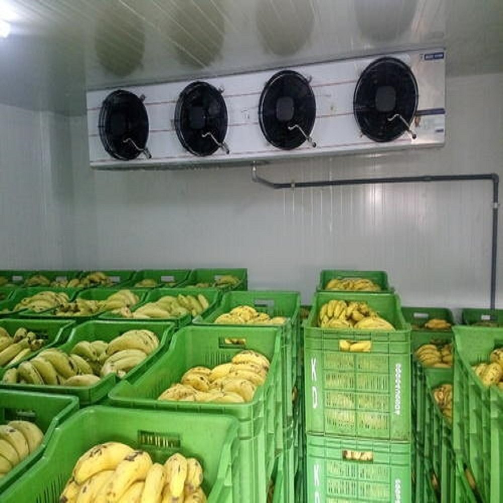 Banana Cold Rooms And Ripening Chambers