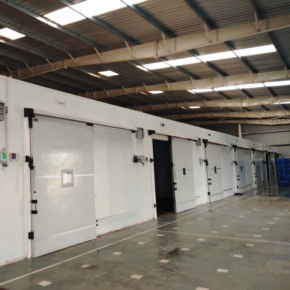 Banana Repining Chamber, Capacity: 20 Ton