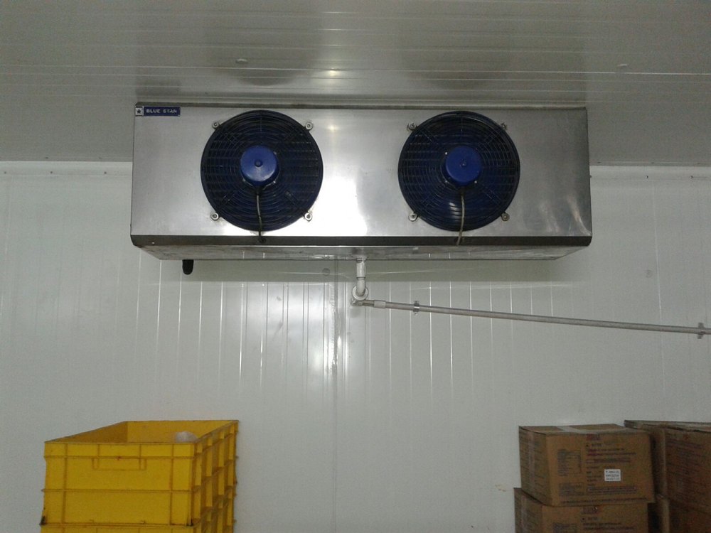 Automatic Banana Ripening Chamber, 100L