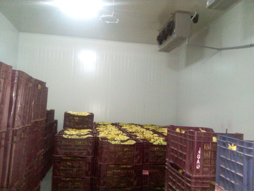 Banana Ripening Chamber, 16 To 19 Deg C, Capacity: 15 Tonn