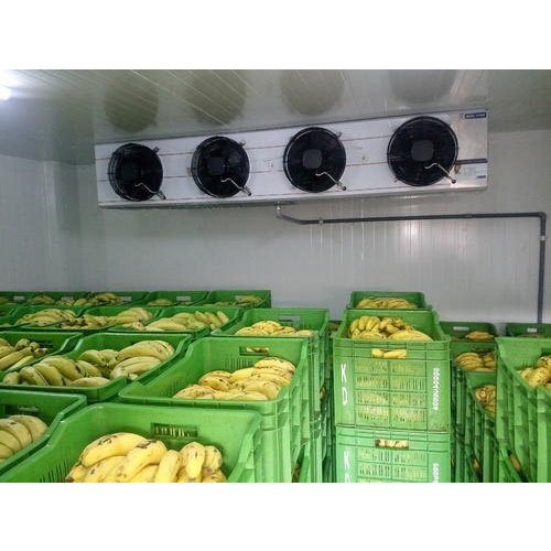Automatic Banana Ripening Chamber, 20 Ton
