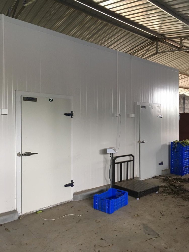 Unicool Technologies Banana Ripening Chamber, Capacity: 2 To 3 Tons
