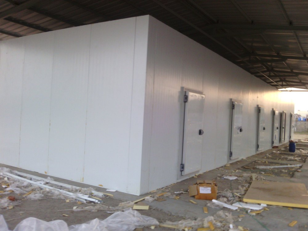 Semi-automatic Ripening Chamber, 14 To 16 Degree C, 5 Ton
