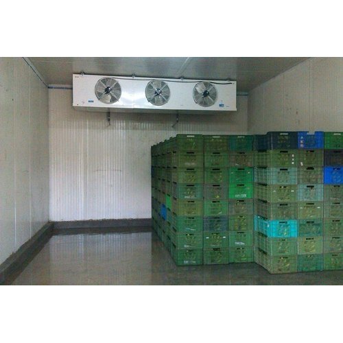 Automatic Banana Ripening Chamber, Capacity: 40 Ton