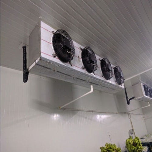 Automatic Banana Ripening Chamber