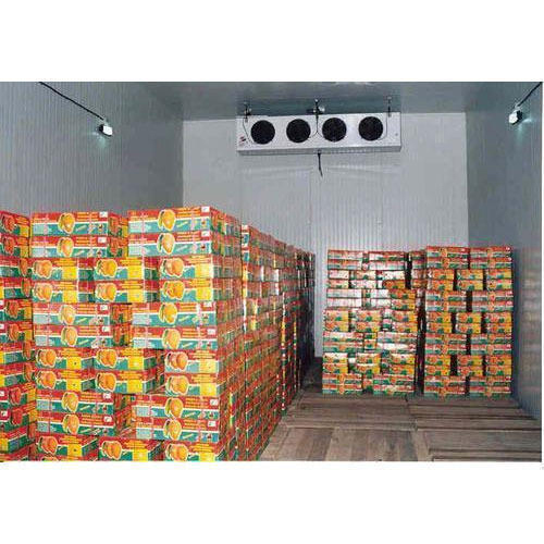 AWO Tech Automatic Mango Ripening Chamber, 20-22 Degree Celsius