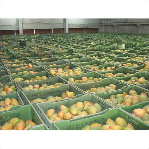 Automatic Mango Fruit Ripening Chamber, - 10 Degree C - +40 Degree C, Upto 5 Ton