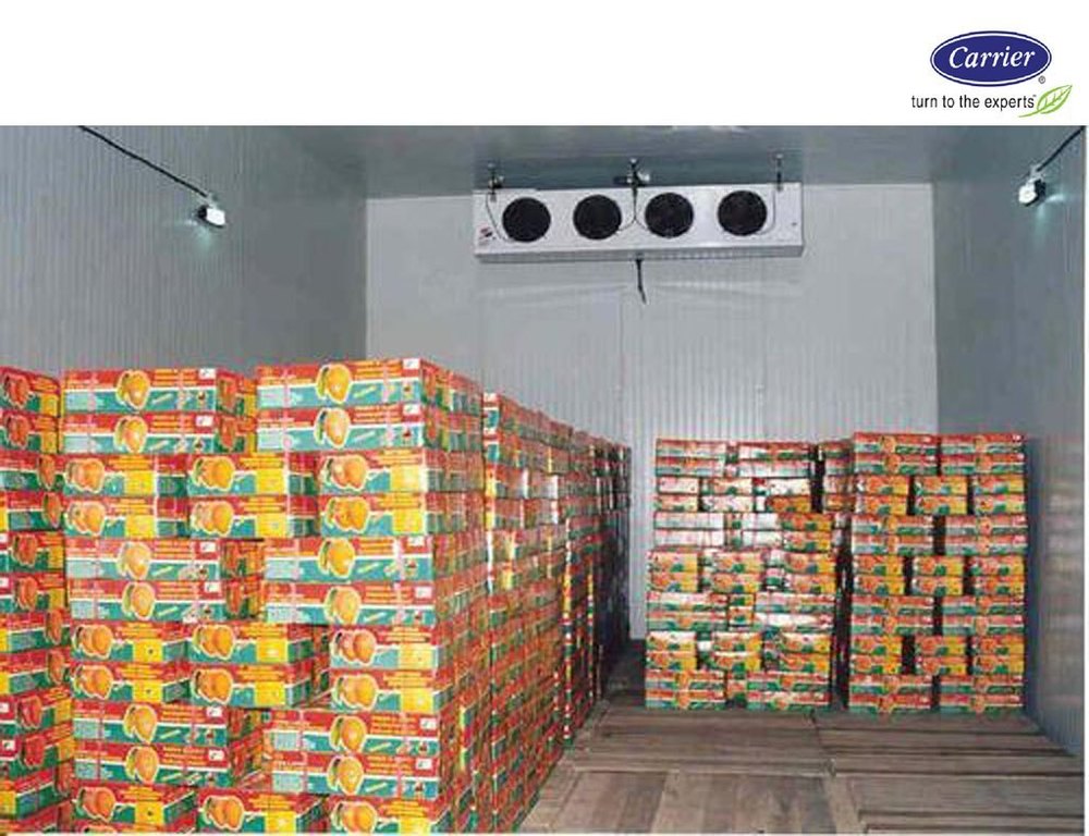Automatic Mango Ripening Cold Rooms, 2 - 4 Degree C, 5-5000
