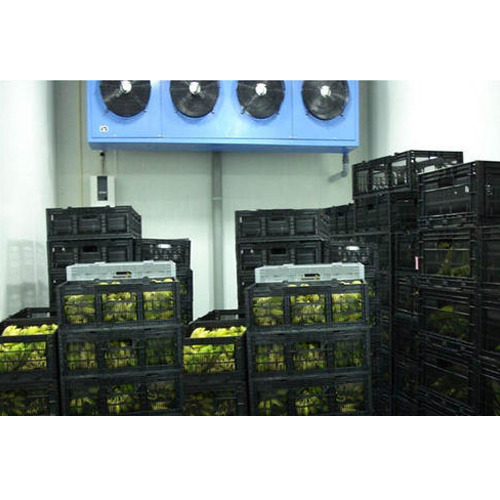 Barco Mango Ripening Chambers