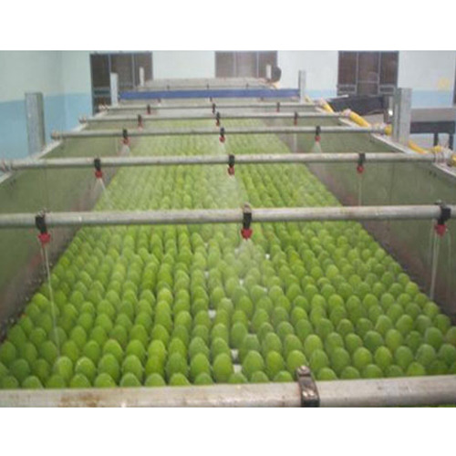 Mango Ripening Chamber