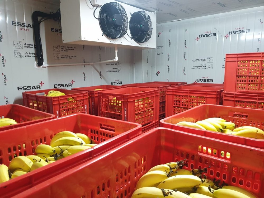 Automatic Banana Ripening Chamber, Model Name/Number: 5ton, Capacity: 1-50 Ton