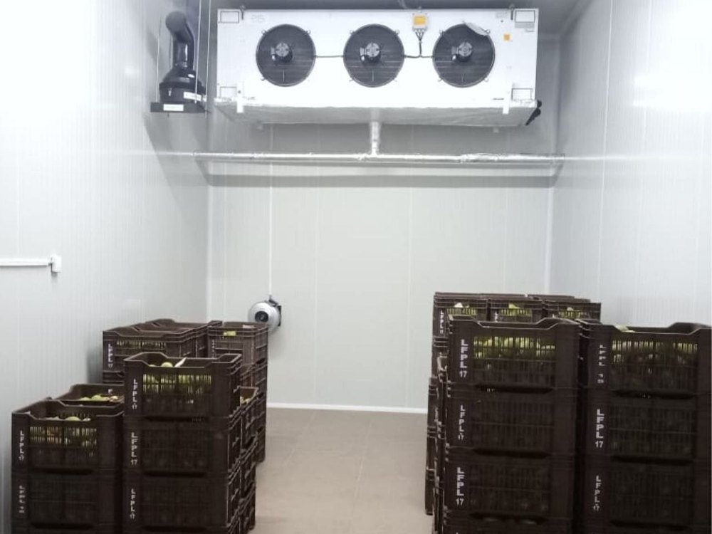 Mango Fruit Ripening Chamber, - 10 Degree C - +40 Degree C, Upto 5 Ton