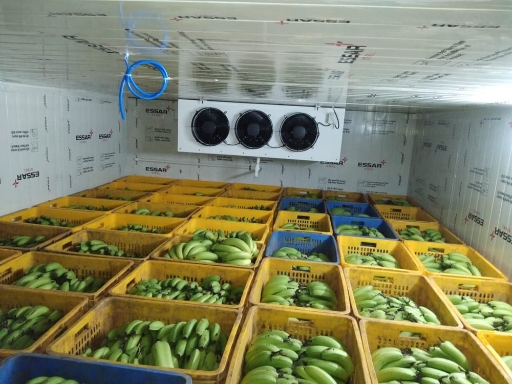 Automatic Fruit Ripening Chamber, 5 To 18 Deg C, 3-10TON