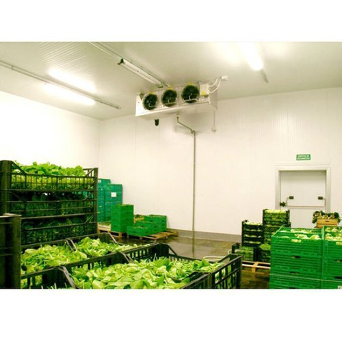 Automatic Fruit Ripening Chamber