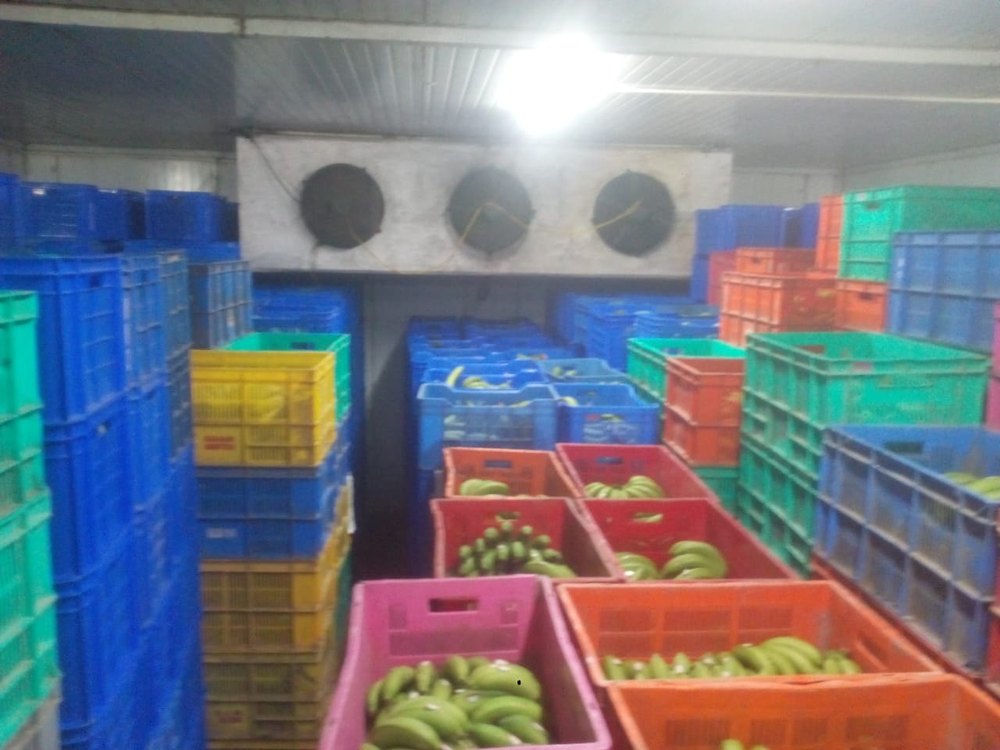 Semi-Automatic Fruits Ripening Cold Storage Room, +4 Degree C, 10 Ton